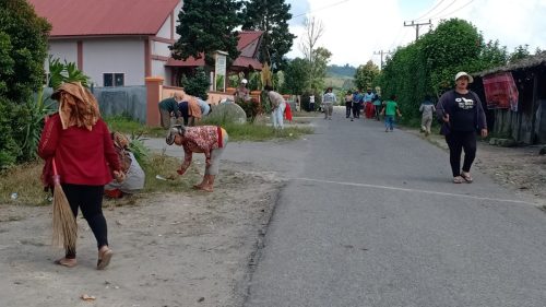 IMG20211226140509
